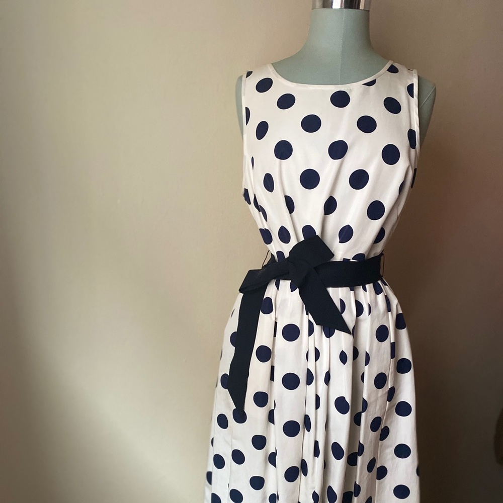 NWT JCrew polka dot Dress